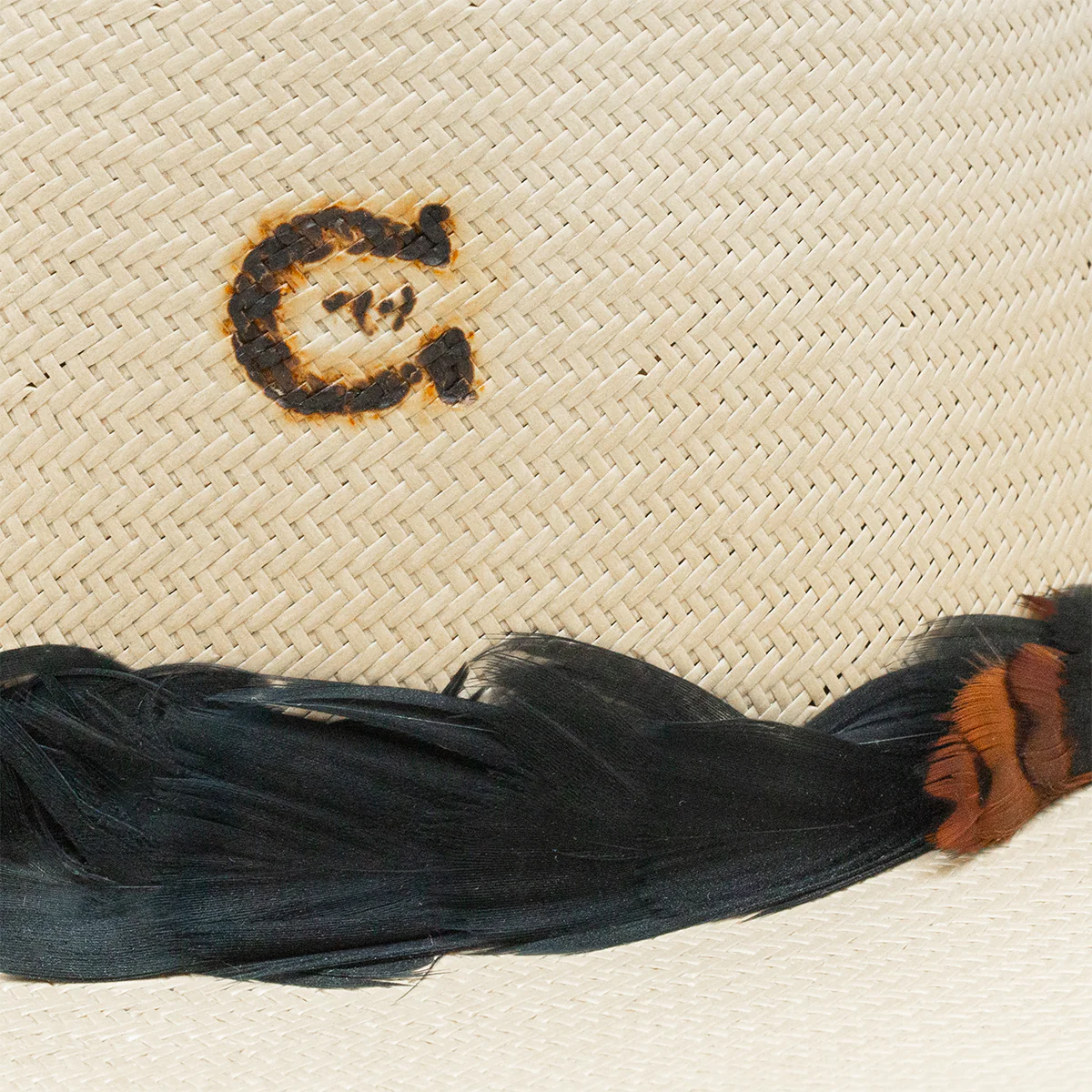 Country With A Flare Western Hat - Image 8