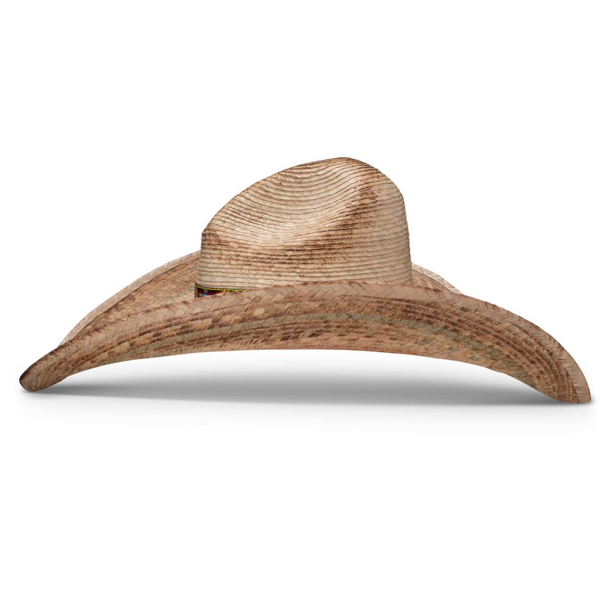 Coyote Fashion Hat - Image 3